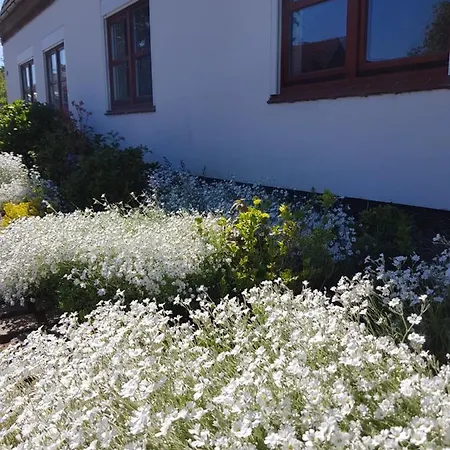 Ferienhaus Loose Prázdninový dům Loose